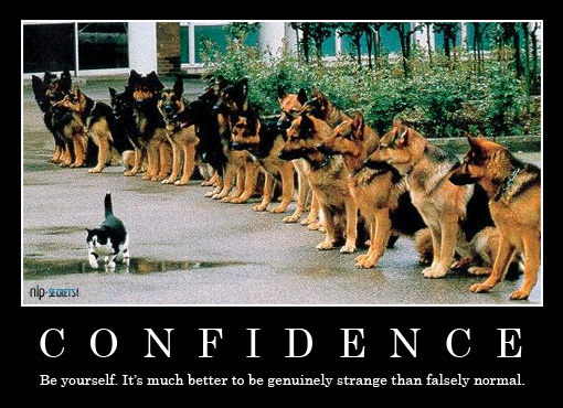 NLP Confidence